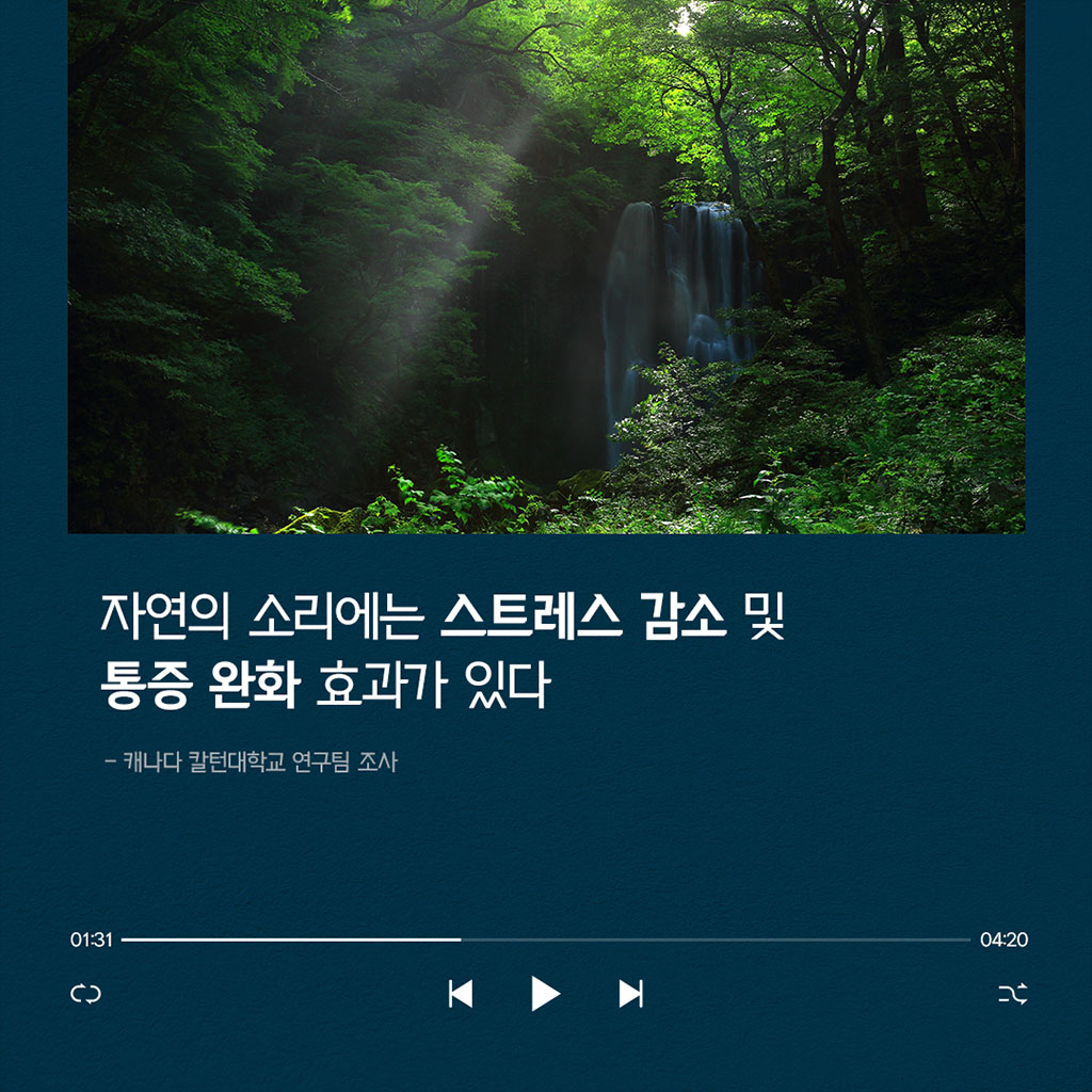 자연의 소리에는 스트레스 감소 및 통증 완화 효과가 있다 캐나다 칼턴대학교 연구팀 조사 예시이미지