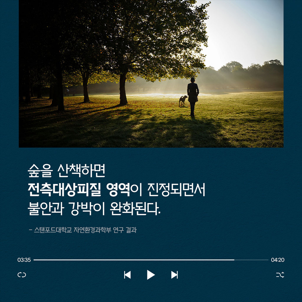 숲을 산책하면 전측대상피질 영역이 진정되면서 불안과 강박이 완화된다 스탠포드대학교 자연환경과학부 연구결과 예시이미지