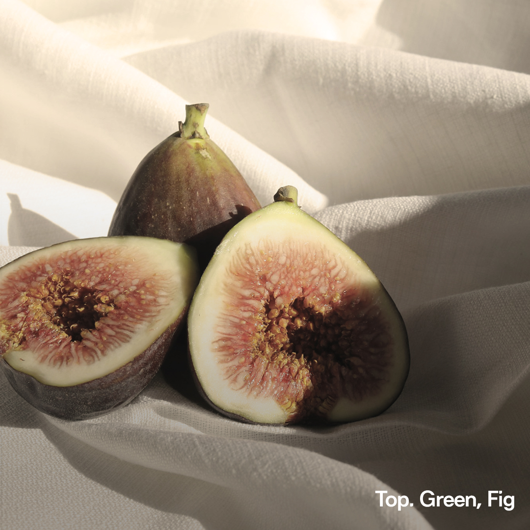 Top, Green, Fig